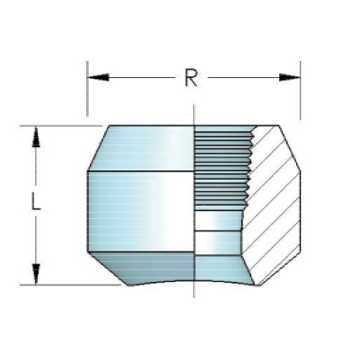 3000 – 6000 Lb NPT Thredolet