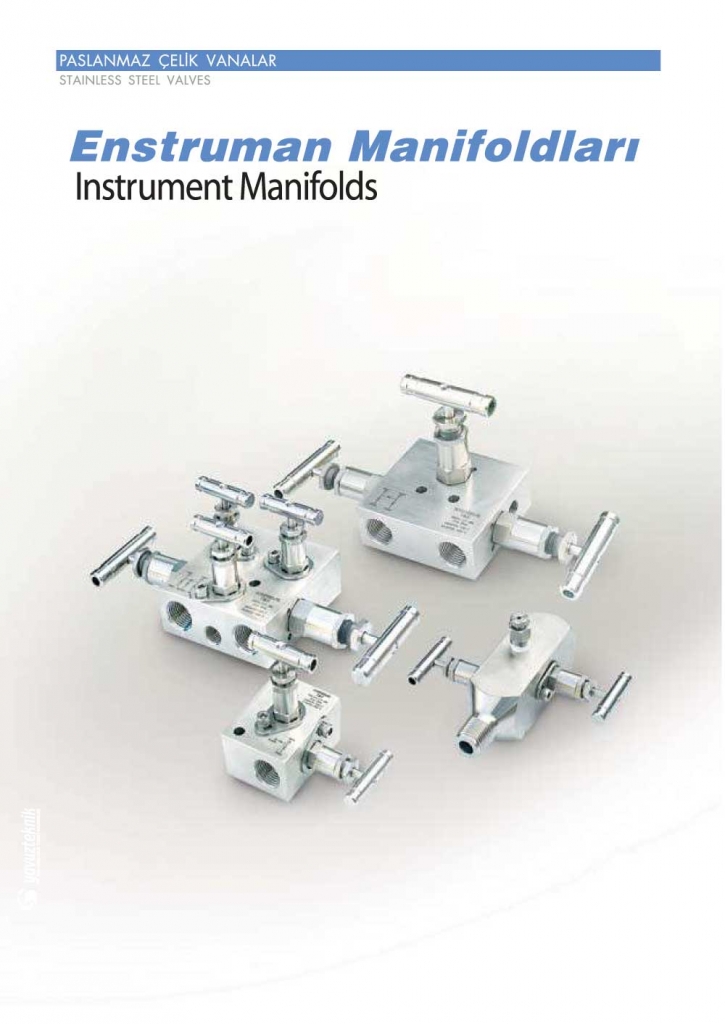 Enstruman Manifoldları